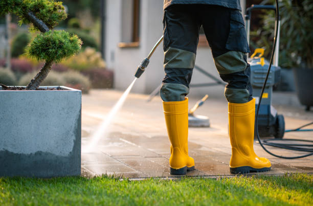 Best Roof Pressure Washing  in Ashland, NE